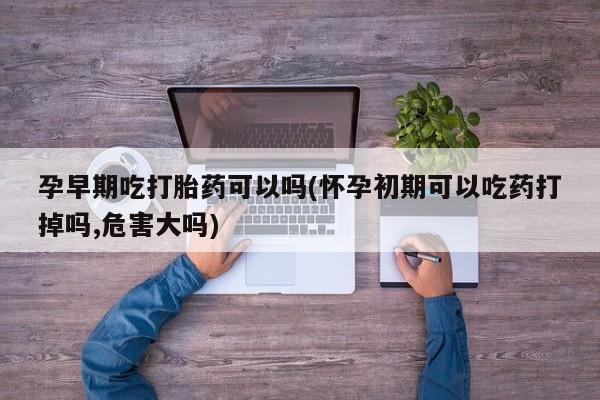 网上卖打胎药微信在线联系方式孕早期吃打胎药可以吗(怀孕初期可以吃药打掉吗,危害大吗)