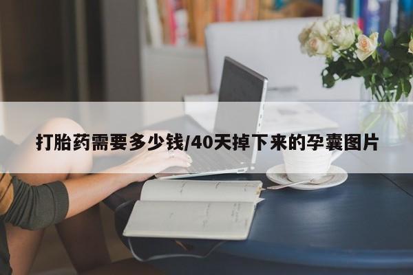 网上卖打胎药微信在线联系方式打胎药需要多少钱/40天掉下来的孕囊图片