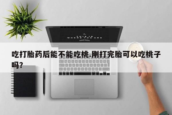 网上卖打胎药微信在线联系方式吃打胎药后能不能吃桃.刚打完胎可以吃桃子吗?